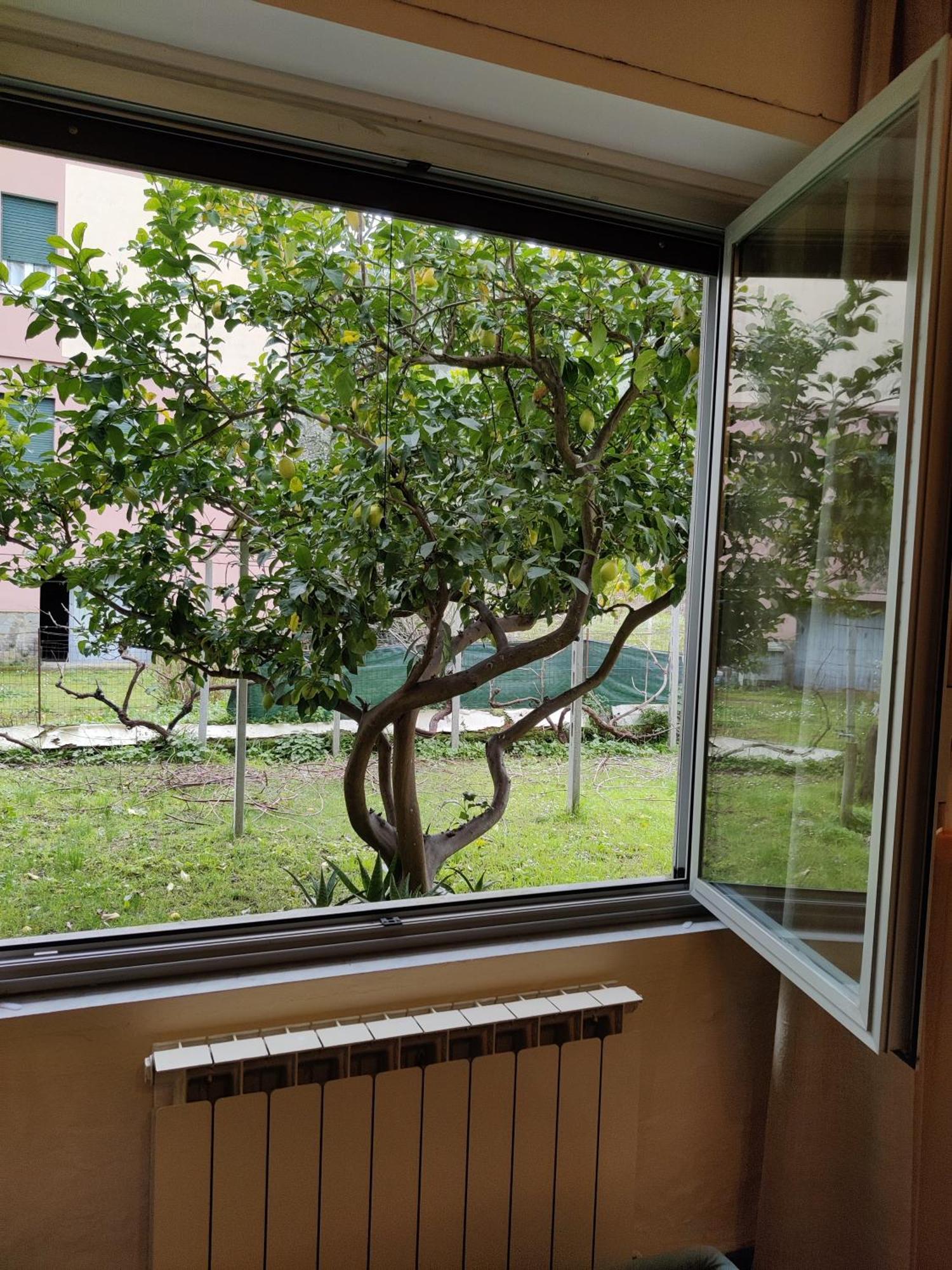 Centrale Nel Verde Int 1 Sestri Levante Ngoại thất bức ảnh